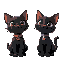 two black cats. one with orange collar with moon pendant and one with purple collar and star pendent 