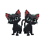 two black cats