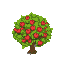 an apple tree