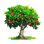 an apple tree