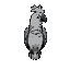 grey parrot with black outline