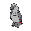 fat grey parrot with black outline seen from above for game