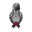 grey parrot with black outline