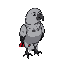 fat grey parrot with black outline seen from above for game