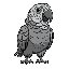 grey parrot with black outline