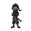 ninja