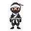 ninja