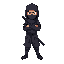 ninja