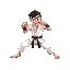 a fun round 4k hd texture karate boxer