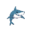 whale shark