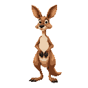 kangaroo