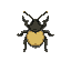 a bug like the one from tibia