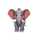 an elephant