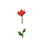 red flower