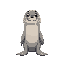 seal