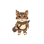 cat adventurer top down