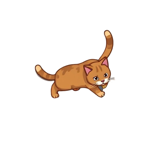 a brown cat walking