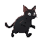 black cat with a fat body, skinny head  and no neck running on all fours