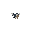 bird, flappy