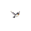 a small bird flys away