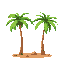 palm trees