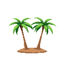 palm trees