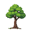 just tree with no background