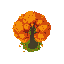 autumn tree
