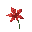 lycoris radiata red flower