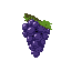grapes without background 