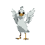 cute bird flapping its wings