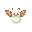a fluffy moth
