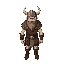 viking warrior 