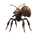 a huge 6 legged insect facing the side. he walks on his 4 legs. the end of the feet is formed like ankers. he got 2 other legs he uses them as hands.  his hands are hold a huge armored halve shields.