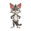 super cat