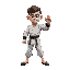 karate fighter