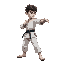karate fighter in stance facing right