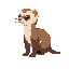 a super cute ferret and soft, fluffy fur, very slim. the ferret is shown from a side view (profile), not facing forward