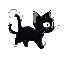 small black cat with pure white eyes and pure white ear fluff running left, side view