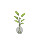 a minimal plant in a vase.