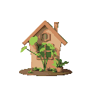 house plant