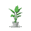 an office plant.