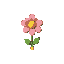 cute walking flower