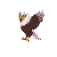 side angle eagle