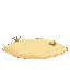 beach and sand