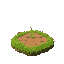 grass and dirt