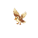 flying bird 