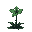 blightbloom: short, haunting plant, thorny, black-green stalks with faint swirls, five petals