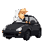 blonde guy with white hoodie driving in a black car, side view