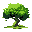 arvore
